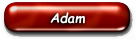 Scores ~ Adam